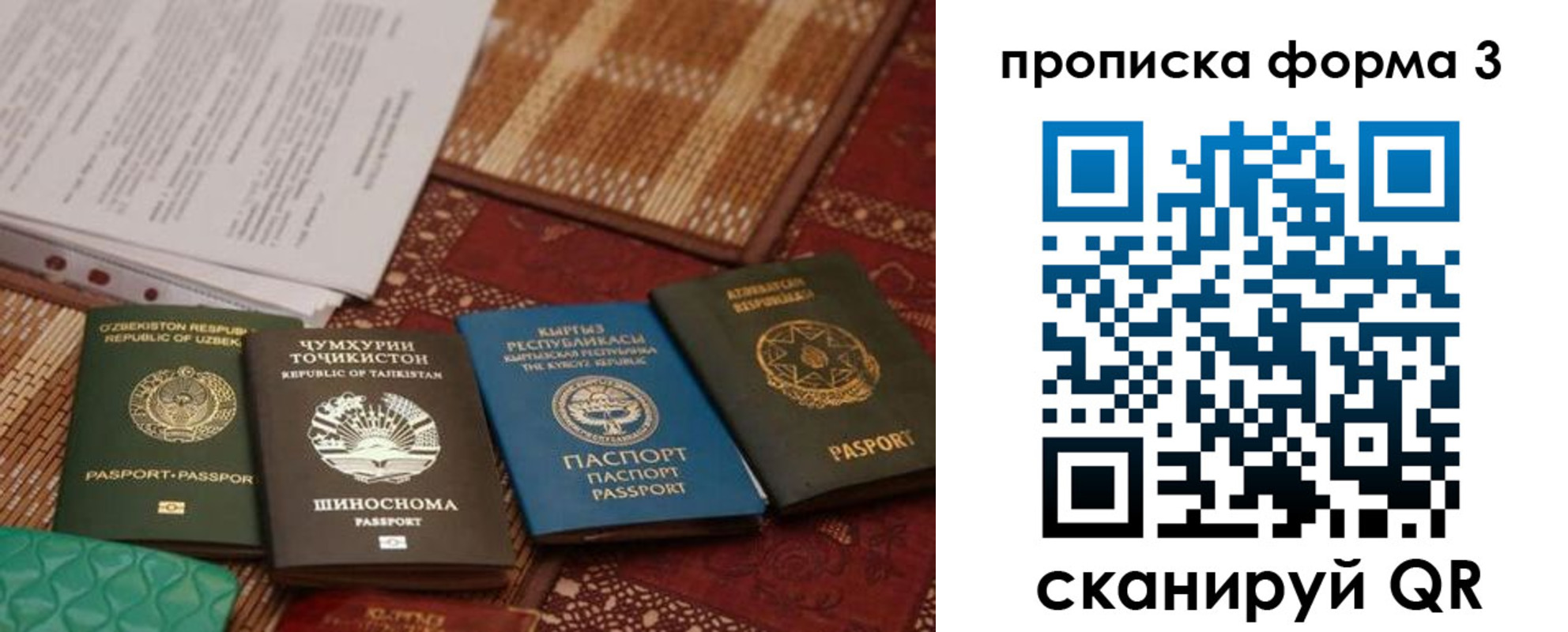 найти адрес прописки в Новороссийске